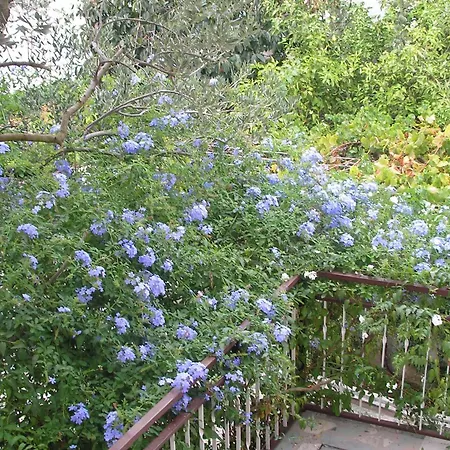 Apartman By The Sea Arbanija, Ciovo - 6062 Trogir