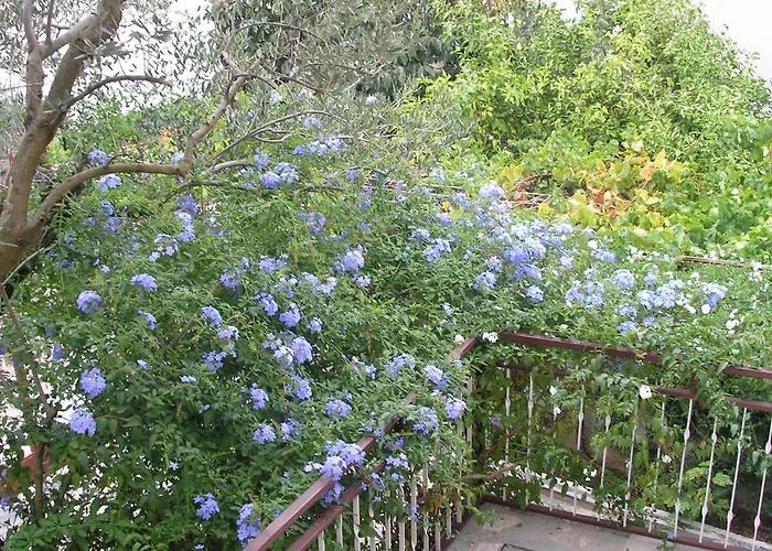 Apartman By The Sea Arbanija, Ciovo - 6062 Trogir